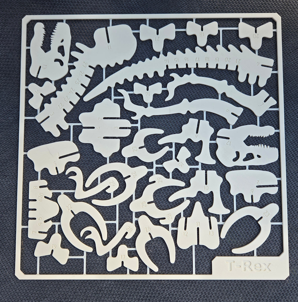 T-Rex 3D Building Plate – Numbered Dino Puzzle